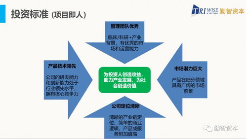 前海创投孵化器董事长汤大杰亮相高交会投融资盛会，深度解析产业投资新路径